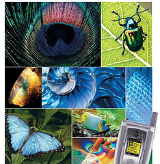 3236946429_00226919a8_m